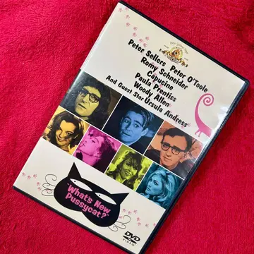 [ DVD ] 뭔가 좋은 일 없을까 새끼 고양이 짱 (1965 미국)