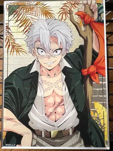 시나즈가와 사네미 선샤인 스탠드 패널