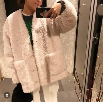 요리 푸들 숏코트