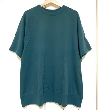 JEANASIS (지나시스) 빈티지 미니 울 스웻셔츠 빅 T셔츠 그린