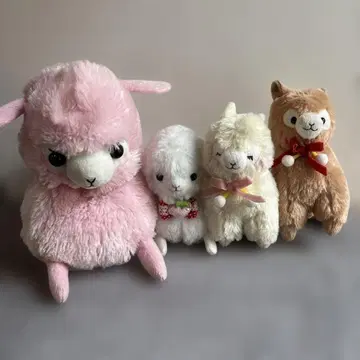 알파카 인형 4개