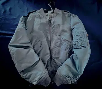 L2-A 플라이트 자켓 블루 알파 인더스트리