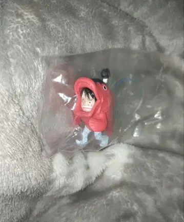 원피스 컬렉션 드레스로자 루피 코이