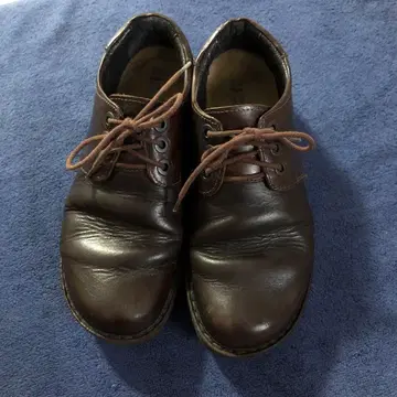 NAOTO DANIELA / Walnut 24cm