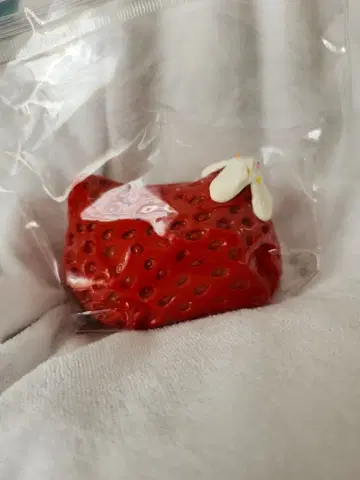 작은 손톱 짱 딸기 스퀴즈