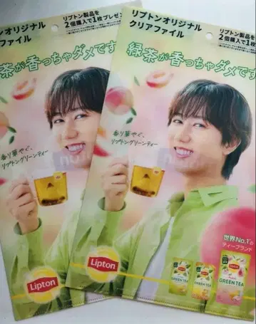 Lipton 클리어 파일 2장 세트