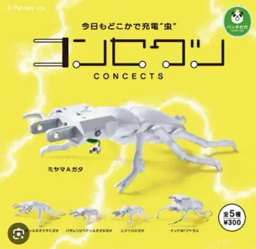 팬더의 구멍 콘세크츠 전 5종 세트