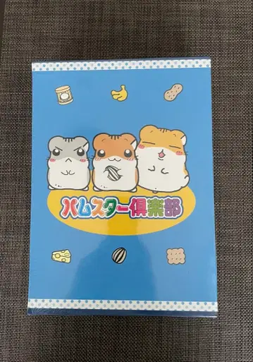 나카바야시 포켓 앨범 5권