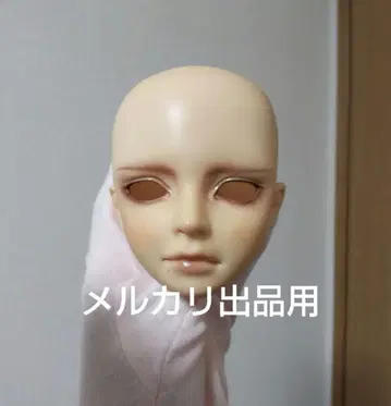 교실 A 헤드 슈퍼돌피 노멀 스킨