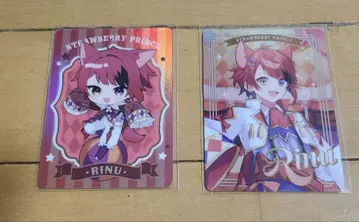 스토푸리 컬렉션 카드 복권 할로윈 2025 리인군 2장 세트