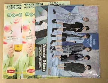 Lipton 클리어 파일 3장 세트