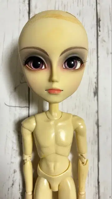 준 플래닝 테얀 탄타스 커스텀 인형 본체만