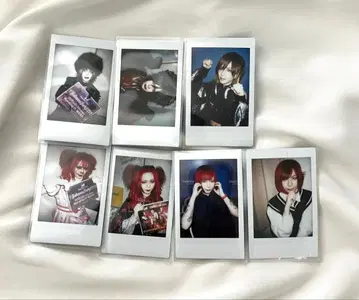 Royz 폴라로이드