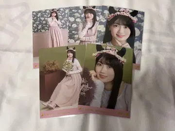 노기자카46 아타고 코쿄 브로마이드 할로윈 2025 개별 5장