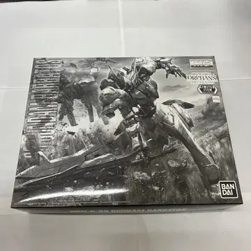 MG 1/100 건담 (티타늄 피니시)