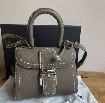 새상품급 델보 Delvaux BRILLANT MINI S 브리옹