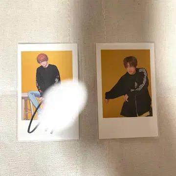 우타이테 메이짱 폴라로이드풍 카드 사인 포함 시크릿 2종