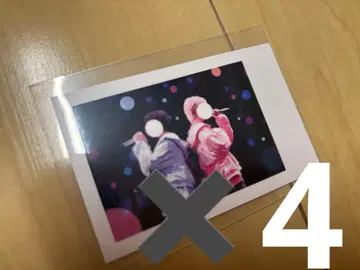 나이무 실사 폴라로이드 이레이스