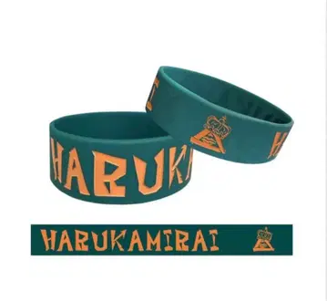 하루카미라이 러버 밴드