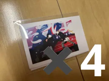 마로니키 실사 폴라로이드 이레이스