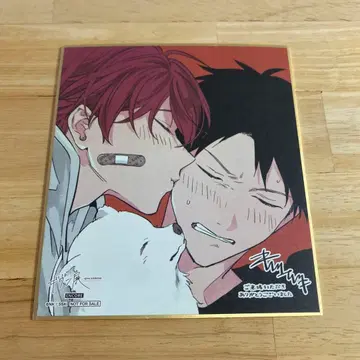 기븐전 특전 색지 마후유 리츠카