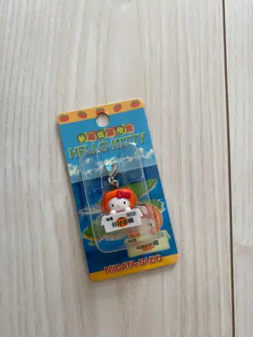 고토치 키티 니가타 오케사 감 2003년