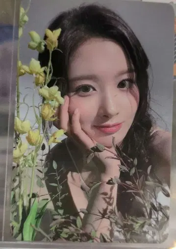 NMIXX 설윤 럭키 드로우 트레이딩 카드 ktoun4u