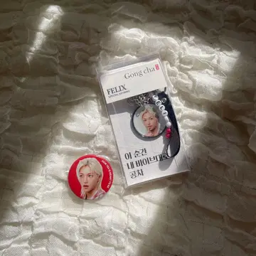 공차 FELIX 키링 배지 세트