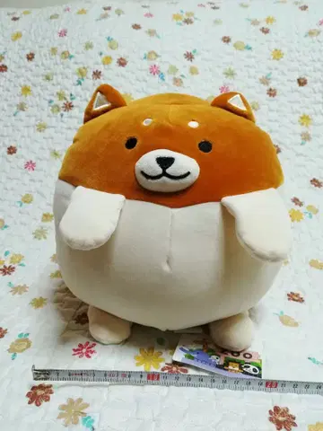 마지막 2개 세트! 데굴데굴 봉제 인형 강아지 콩 시바견 시바견