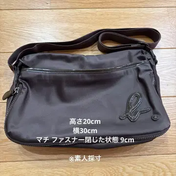 아네스베 숄더백