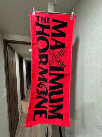 맥시멈 더 호르몬 타월