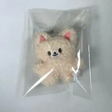 Straykids 5'clock micro 폭시니 마이크로