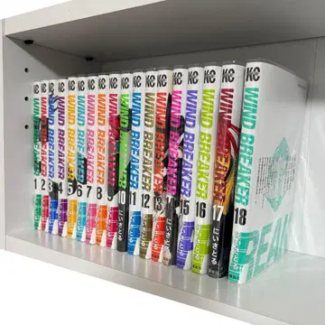 WIND BREAKER 윈드브레이커 니이 사토루 18권