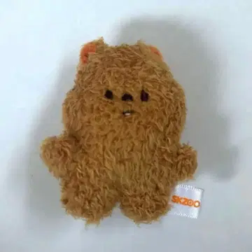 Straykids 5시 마이크로 한쿼카 마이크로