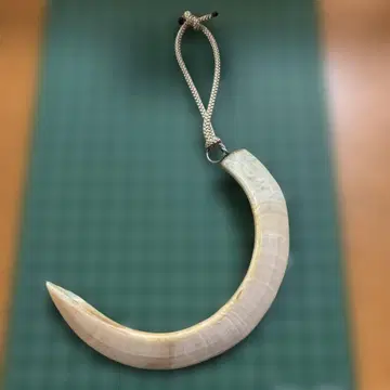 멧돼지 엄니 남성용 키링 목걸이로도