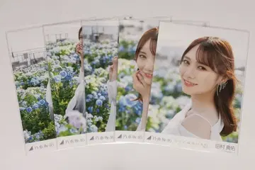 다무라 마유 브로마이드 코코니와 나이모노 선발ver. 5종 세트