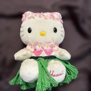 지역 한정 키티 헬로키티 하와이 트로피컬 Hawaii 2005년 제작