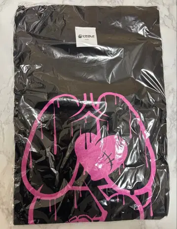 백만천원사로메 니지T