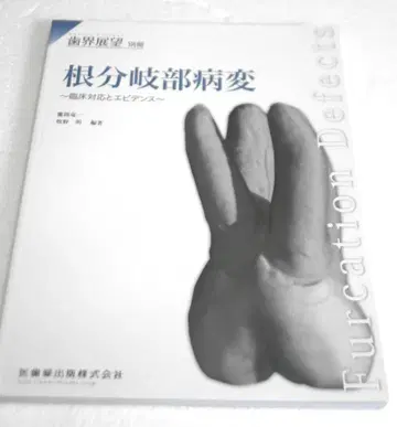 새상품급    편저