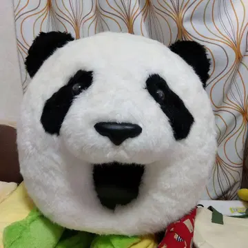 팬더 디자인의 캐릭터