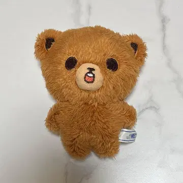 nct 해찬 봉제 인형 10cm 이곰도