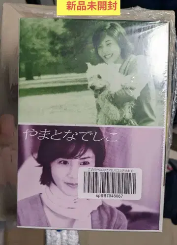 야마토 나데시코 DVD 6권 세트