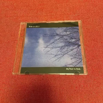 My Hair is Bad 2nd 데모