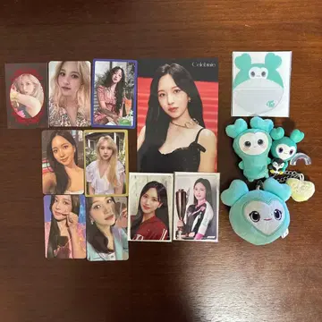 twice 미나 미부리