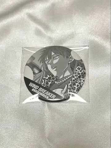 WIND BREAKER 타키이시야 캔뱃지