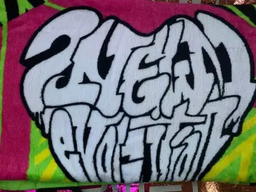 2NE1 그래피티 타월