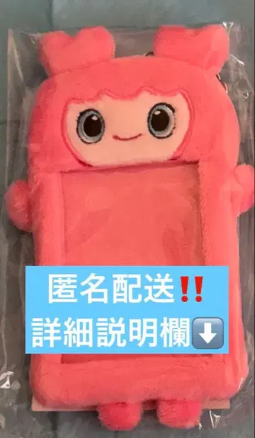 TWICE LOVELYS 포토카드 홀더 모모 트레카 케이스