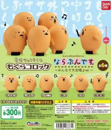 두더지 고로케 나가노 곰 줄 서는 거야 다 함께 대합창 컴플리트 세트