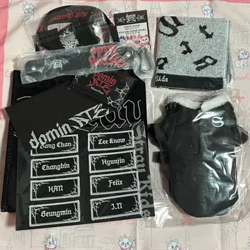 StrayKids 스키즈 dominATE 아푸그레 굿즈