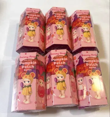 소니엔젤 펌킨 패치 6개 세트